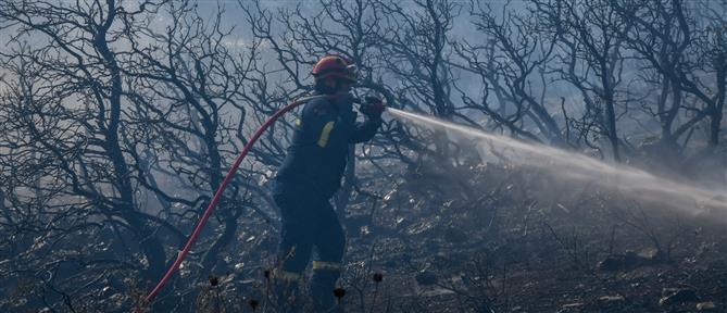 Φωτιά στο Δασκαλειό: Σε επιφυλακή παραμένουν πυροσβέστες και εθελοντές