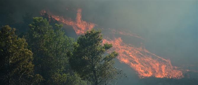 Φωτιές σε Δίστομο - Ζάκυνθο: Εναέρια μέσα στην μάχη με τις φλόγες