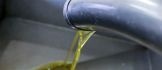 Νέα Φιλαδέλφεια: Συνελήφθη 48χρονος που έκλεβε... ελαιόλαδο και μέλι από πολυκατοικίες