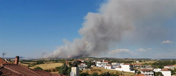 Θεσσαλονίκη: Ολονύχτια μάχη με τις φλόγες στην Άσσηρο - Ενεργό το πύρινο μέτωπο