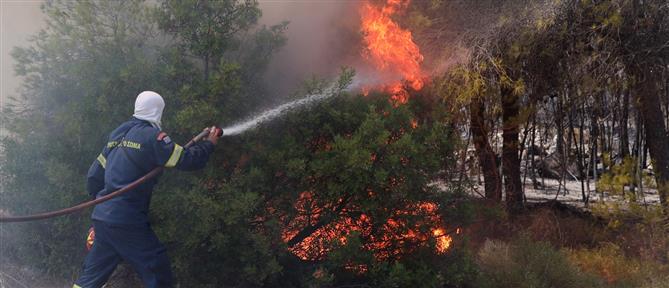 Συναγερμός στα Γρεβενά: Ξέσπασε φωτιά σε αγροτοδασική έκταση