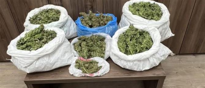 Κρήτη: Εντοπίσθηκαν 14 κιλά κάνναβης - Συλλήψεις τεσσάρων ατόμων
