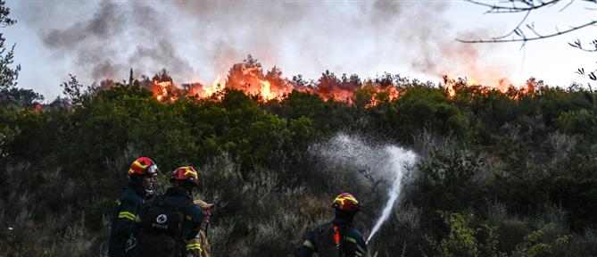 Φωτιές σε Σταμάτα - Κερατέα: Επιφυλακή για τις αναζωπυρώσεις (εικόνες)