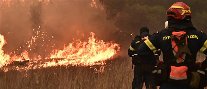 Πολύ υψηλός κίνδυνος πυρκαγιάς την Κυριακή στην Αττική και άλλες περιοχές της χώρας
