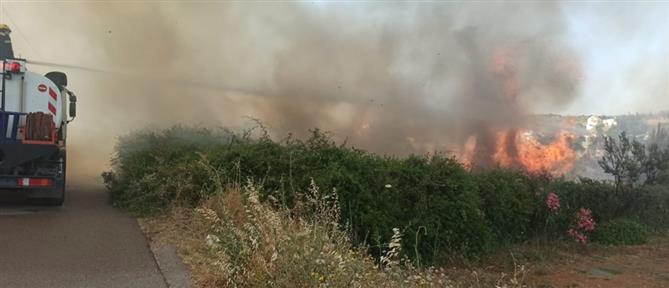 Κρήτη: Πήγε να κάψει χόρτα κι απανθρακώθηκε