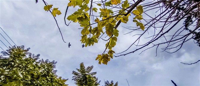 Τι καιρό θα κάνει την Πέμπτη