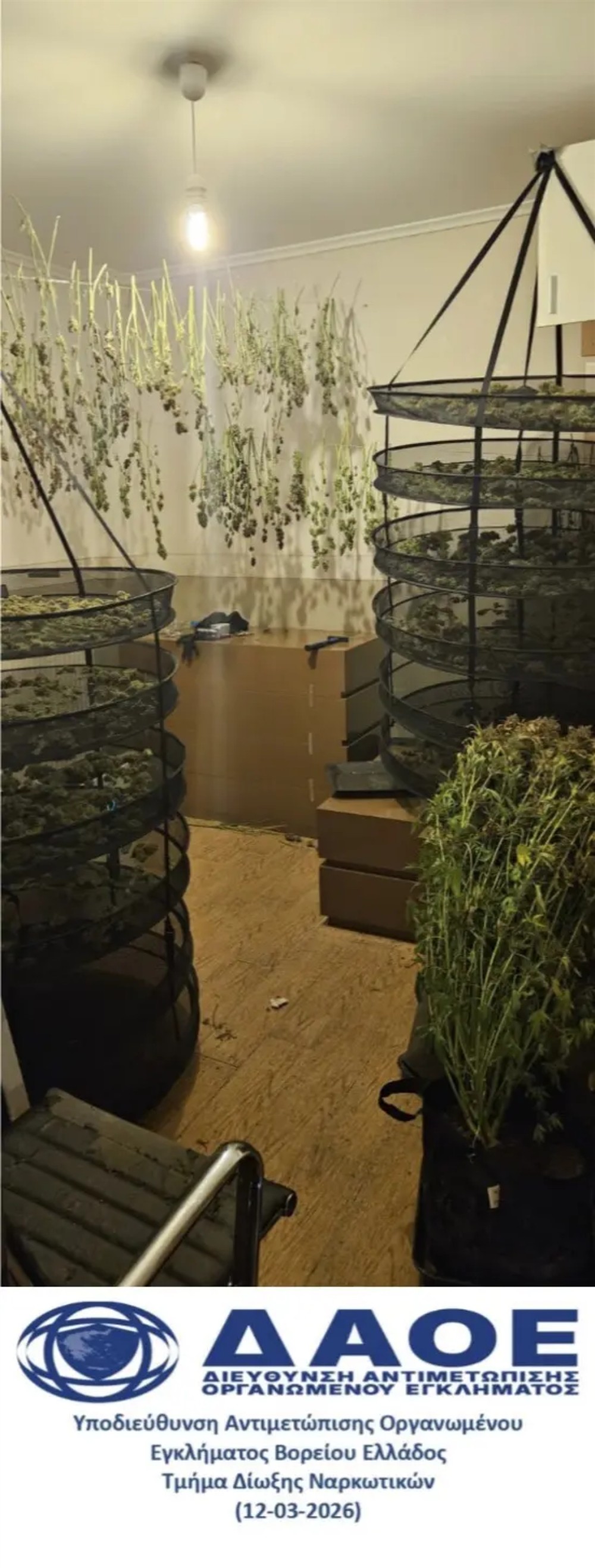 θεσσαλονικη - ναρκωτικα