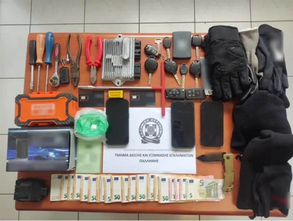 παληνη - οργανωση παληνη - οργανωση