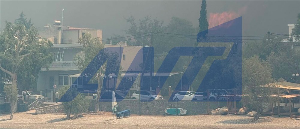 Φωτιά στη Βοιωτία: Εκκένωση από θαλάσσης εγκλωβισμένων Φωτιά στη Βοιωτία: Εκκένωση από θαλάσσης εγκλωβισμένων