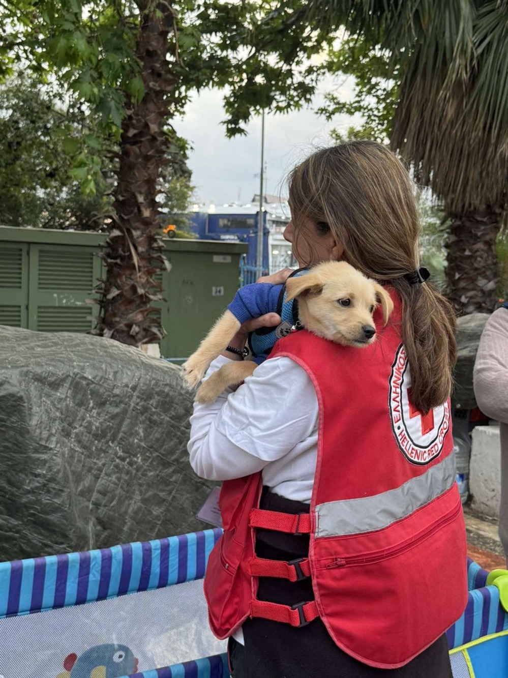 Ερυθρός Σταυρός - Πειραιάς