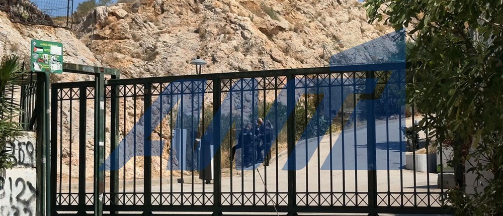 Κυψέλη - Οστά Κυψέλη - Οστά