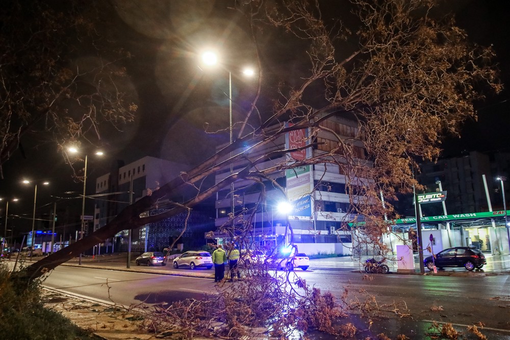 Πτώση δέντρου - Οδός Πειραιώς