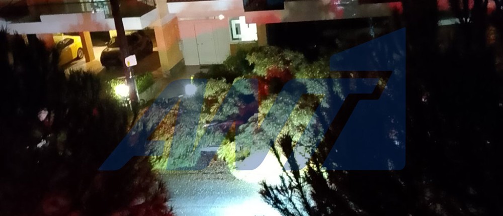 Πτώση δέντρου στα Βριλήσσια