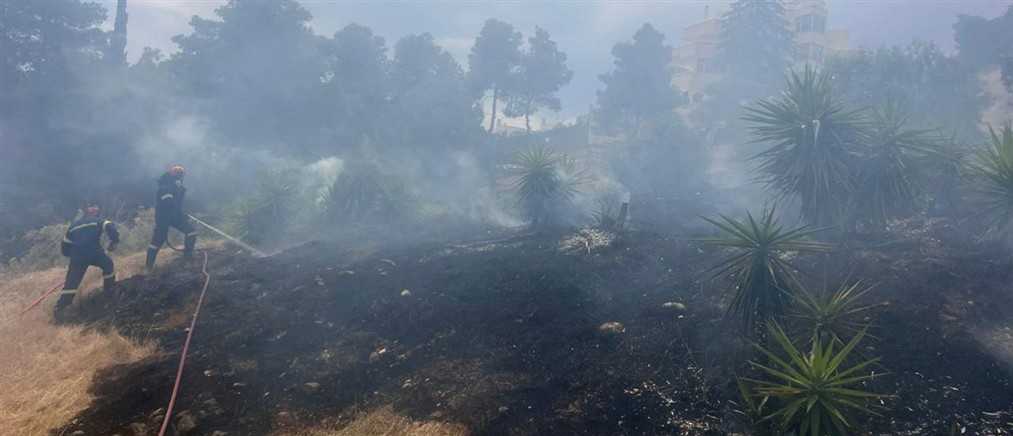 Φιλοθέη: Υπό έλεγχο η πυρκαγιά που ξέσπασε στο Άλσος του λόφου - Αναζητούνται μελισσοκόμοι (βίντεο)