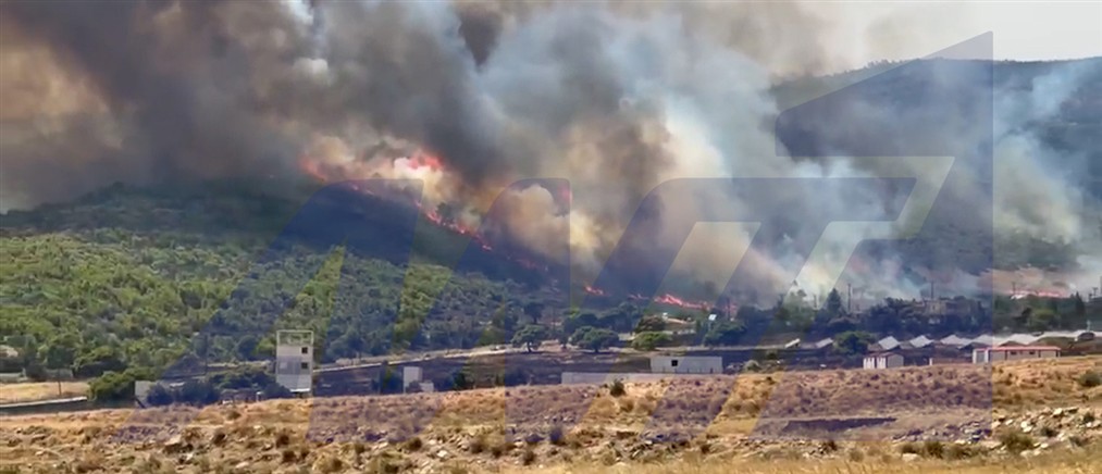 Σε Κανδήλι και Ψάθα η μεγάλη μάχη με την πυρκαγιά στη Δυτική Αττική - Ήχησε το 112 για εκκένωση περιοχών
