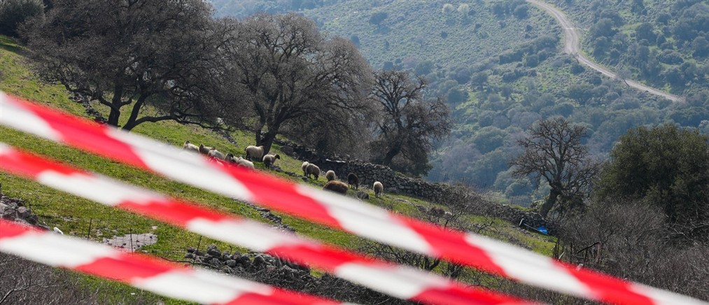 Σε κατάσταση έκτακτης ανάγκης η Λέσβος λόγω αφθώδους πυρετού