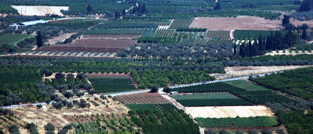 Ρέθυμνο: Έως τις 15/6 ο καθαρισμός οικοπέδων - Πρόστιμα στους παραβάτες