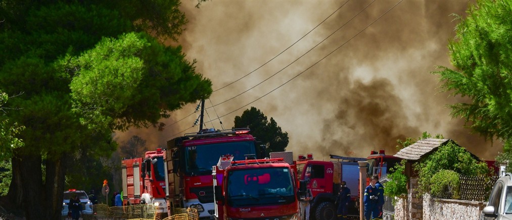 Φωτιά στη Βοιωτία: Ενισχύονται οι δυνάμεις - 25 πυροσβεστικά οχήματα επιχειρούν στην περιοχή