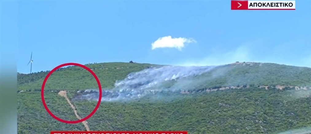 Αποκλειστικό ΑΝΤ1: Προς "σφράγιση" το αιολικό πάρκο - Συνεχείς βλάβες πριν από τη μεγάλη φωτιά