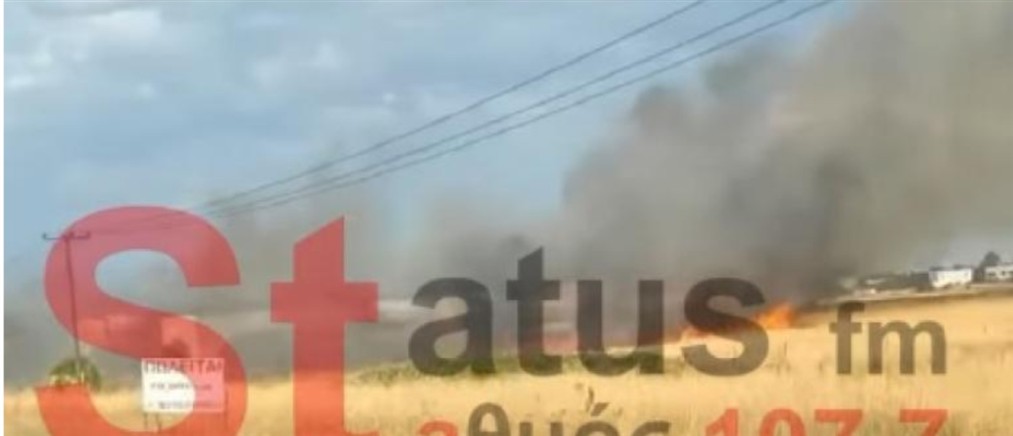 Θεσσαλονίκη: Πυρκαγιά καίει ξερά χόρτα κοντά στην ΠΑΘΕ (βίντεο)