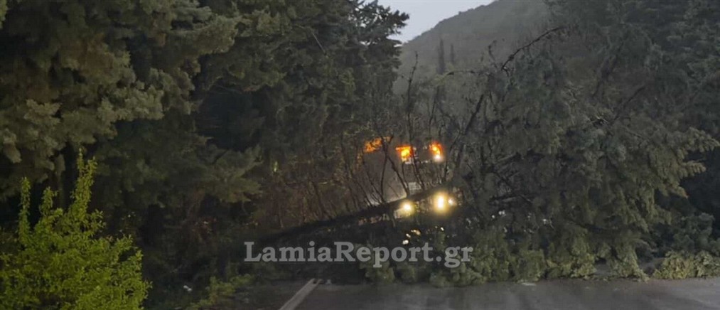 Έκλεισε η εθνική οδός Θερμοπυλών - Ιτέας, προς Μπράλο λόγω πτώσης δέντρων (εικόνες)