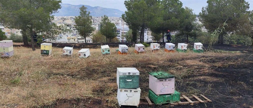 Παρασκευή 5 Ιουνίου: Το πρώτο web δελτίο με τις σημαντικότερες ειδήσεις της ημέρας (βίντεο)