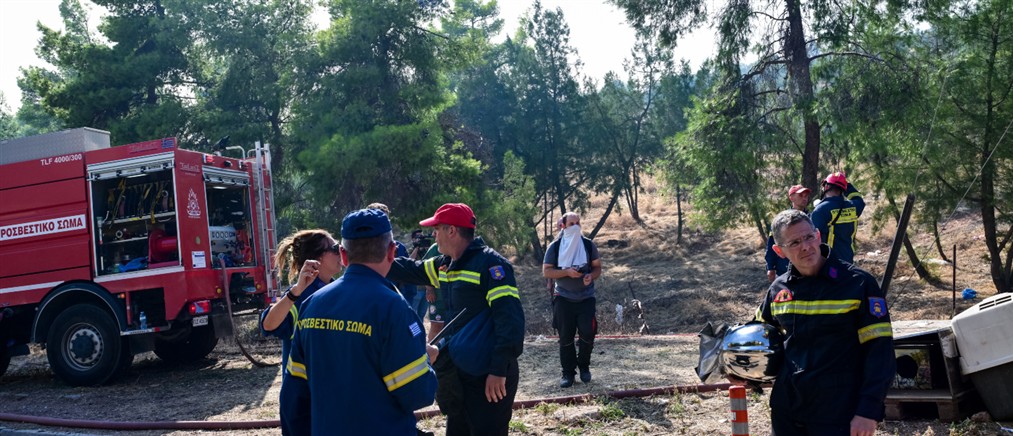 Φωτιά στον Λουτρόπυργο Αττικής - Καίει κοντά σε σπίτια (βίντεο)