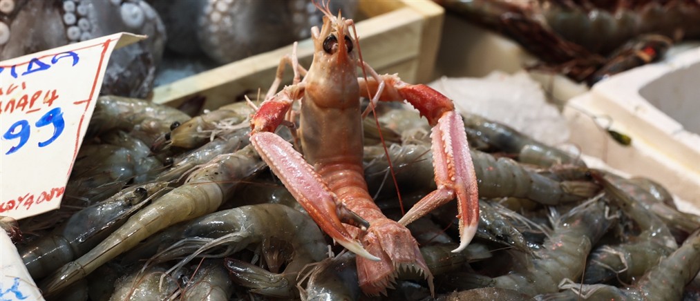 "Φωτιά" τα σαρακοστιανά - Ακριβό το τραπέζι της νηστείας