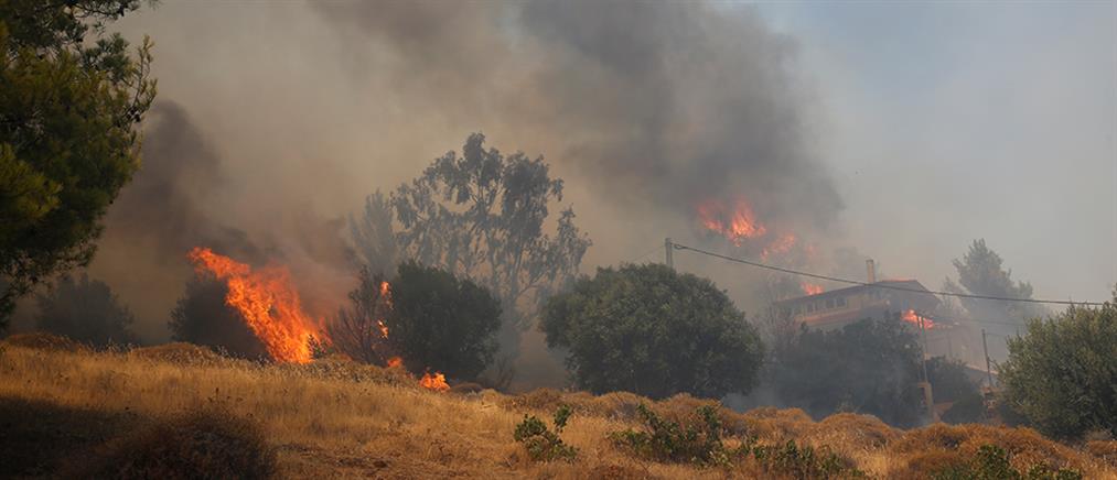 Πότε λήγει η προθεσμία για τους καθαρισμούς των οικοπέδων

