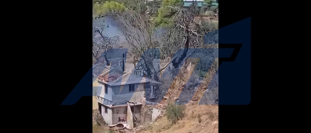 Πυρκαγιά σε χαμηλή βλάστηση στην Πεντέλη - Δείτε βίντεο