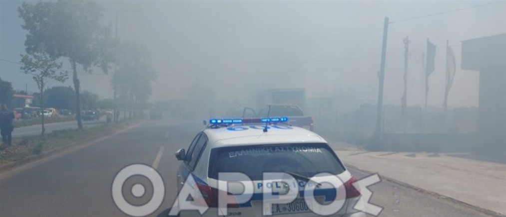 Καλαμάτα: Μεγάλη πυρκαγιά σε επιχείρηση υλικών οικοδομής (εικόνες)