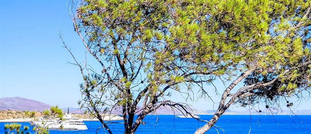 Τι καιρό θα κάνει την Παρασκευή
