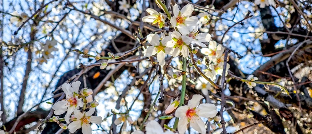 Τι καιρό θα κάνει την Πέμπτη