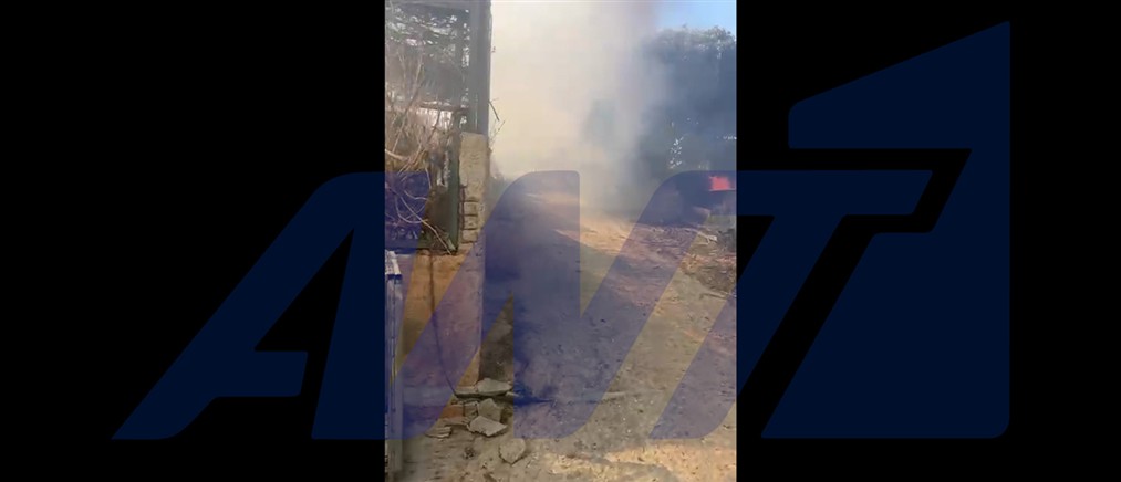 Καίγεται κτηνοτροφική μονάδα στο Κανδήλι Δυτικής Αττικής - Συνεχίζονται οι διασώσεις από το Διαδημοτικό Κέντρο Αδέσποτων Ζώων στα πύρινα μέτωπα Αττικής και Βοιωτίας
