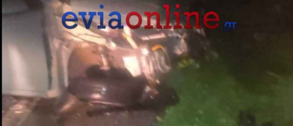 Εύβοια: Αυτοκίνητο έπεσε πάνω σε αγριογούρουνο - 3 τραυματίες, ένας εκ των οποίων σοβαρά (εικόνες)