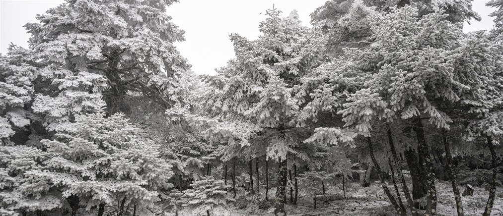 Χιόνια στη Βόρεια Ελλάδα στην "καρδιά" της άνοιξης