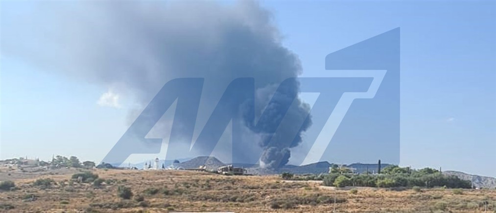 Πυρκαγιά στο Ελληνικό της Σαλαμίνας: Ενισχύονται οι δυνάμεις της Πυροσβεστικής