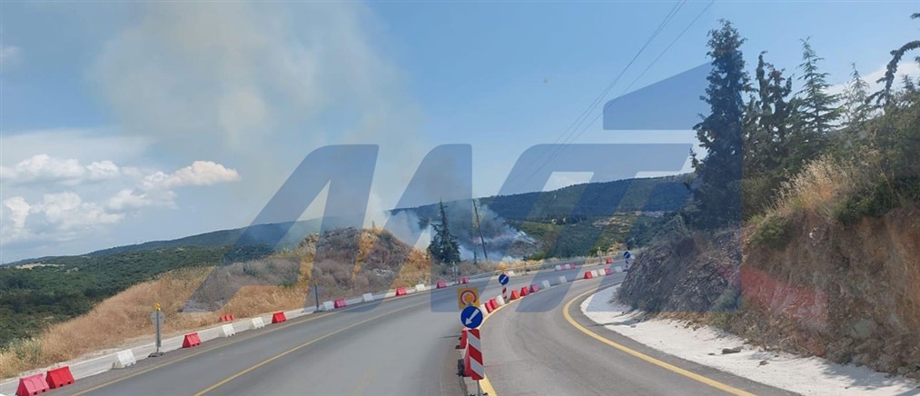 Θεσσαλονίκη: Οριοθετήθηκε η φωτιά σε δασική έκταση του Φιλύρου