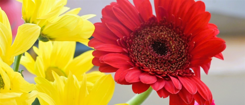 Εορτολόγιο: Ποιοι γιορτάζουν σήμερα 28 Ιανουαρίου