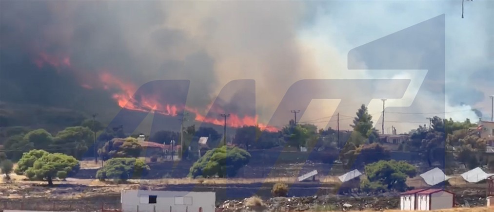 Πυρκαγιά στα Μέγαρα: Στις φλόγες τυλίχθηκε όλος ο λόφος