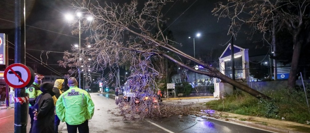Διακοπή κυκλοφορίας στην οδό Πειραιώς έπειτα από πτώση δέντρου - Κυκλοφοριακές ρυθμίσεις λόγω της κακοκαιρίας