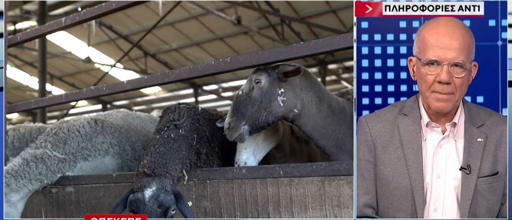 Τέλλογλου - ΟΠΕΚΕΠΕ: 4η δικογραφία από την Ευρωπαϊκή Εισαγγελία