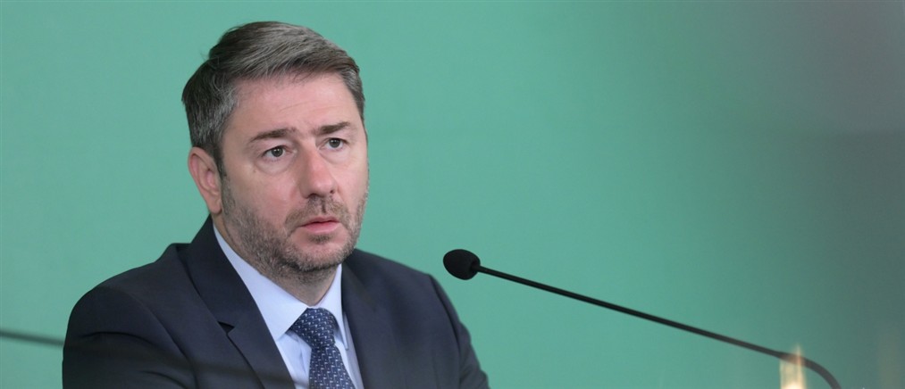 Ανδρουλάκης: Ποια είναι η πολιτική ευθύνη του ΠΑΣΟΚ, αν σε μια υπηρεσία του ΟΠΕΚΑ υπάρχουν παρατυπίες;