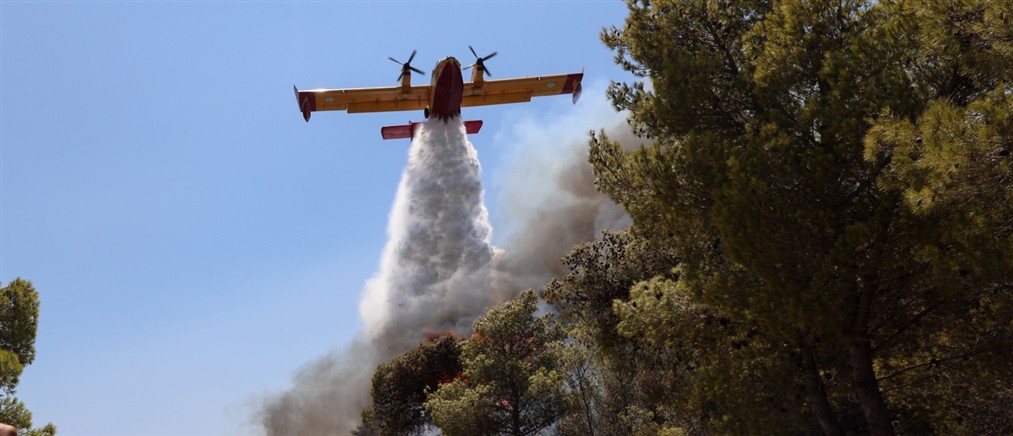 Κεφαλονιά: Αναζωπύρωση της πυρκαγιάς στον Κατελειό – Ενισχύθηκαν οι πυροσβεστικές δυνάμεις