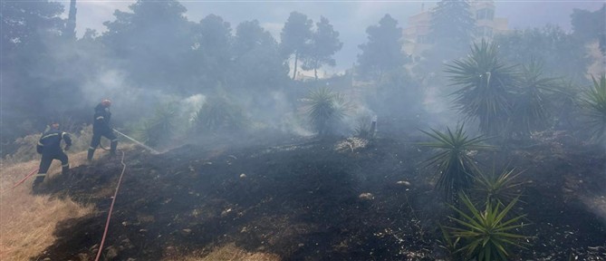 Φιλοθέη: Υπό έλεγχο η πυρκαγιά που ξέσπασε στο Άλσος του λόφου - Αναζητούνται μελισσοκόμοι (βίντεο)