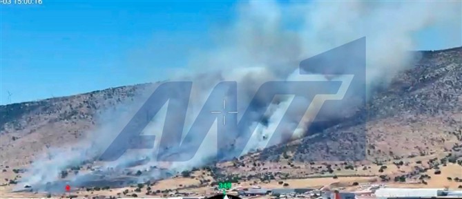 Φωτιά ξέσπασε στον Ασπρόπυργο (βίντεο)