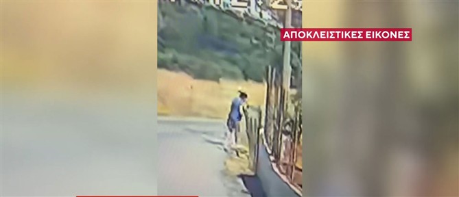 Φωτιά - Κερατέα: Βίντεο ντοκουμέντο από τη δράση της 43χρονης - "Έβαλα φωτιά για να μην ξεσπάσω στα παιδιά μου"