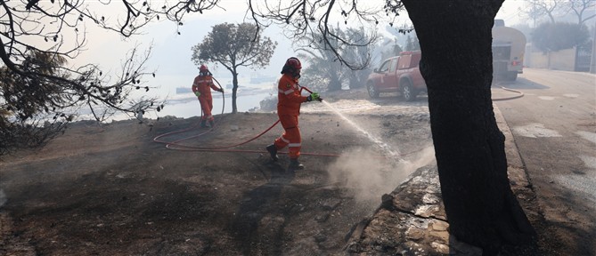 Σαλαμίνα: Το “σημείο μηδέν” από όπου ξεκίνησε η φωτιά