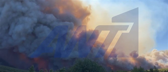 Φλόγες καίνε το όρος Πατέρα στην Αγία Παρασκευή - Επεκτείνεται η πυρκαγιά και στον Κιθαιρώνα