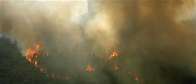 Αντιμέτωπη με δασικές πυρκαγιές η Πορτογαλία - Ζητεί ενισχύσεις